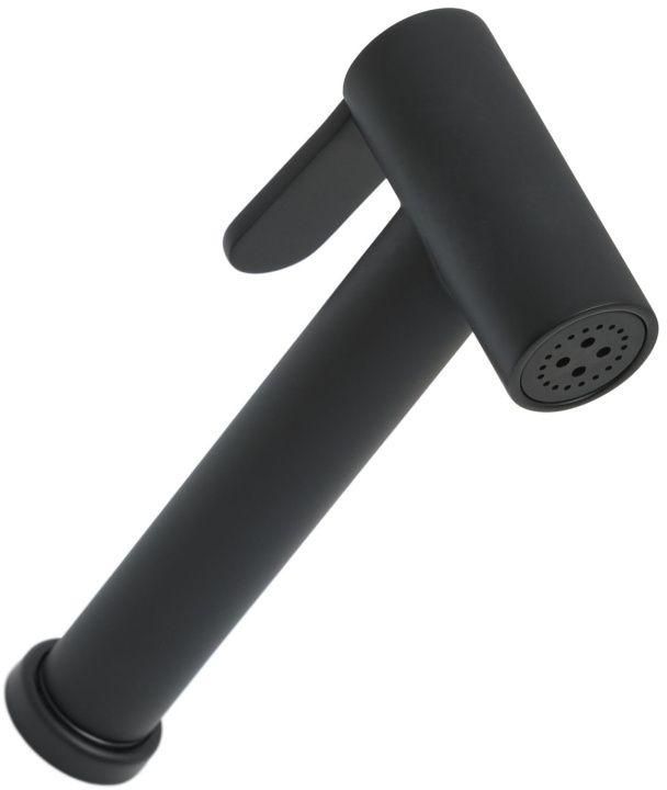 Гигиеническая лейка allen brau priority 5.31028-31 черный матовый