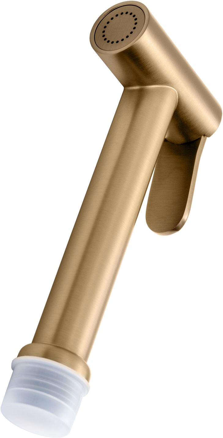 Гигиеническая лейка allen brau priority 5.31028-gb золото