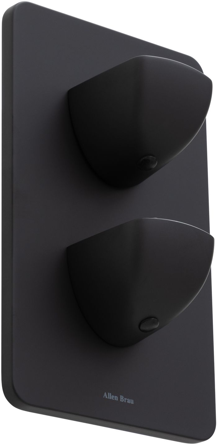 Смеситель для душа Allen Brau Infinity 5.21116-31 (с внутренней частью, 1 выход) черный матовый