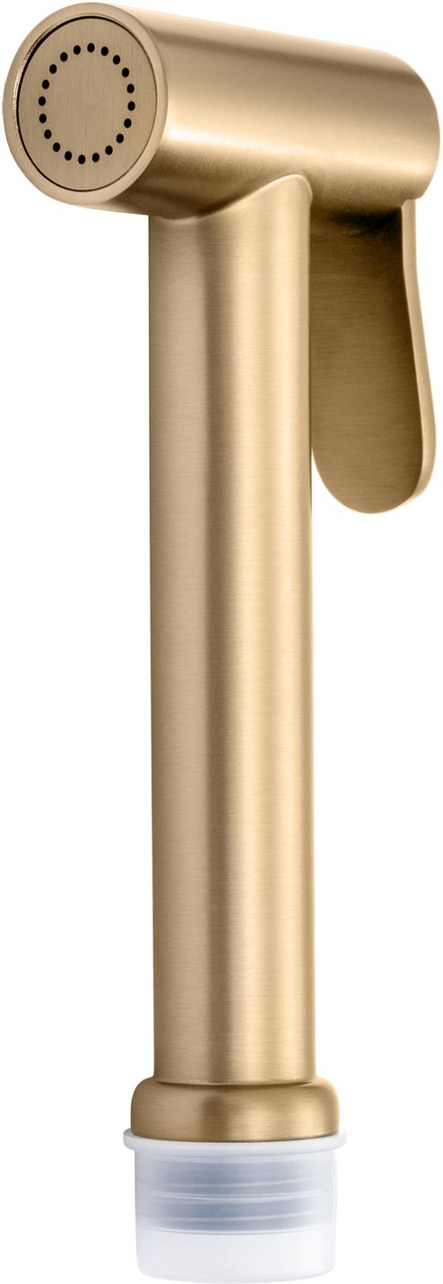 Гигиеническая лейка allen brau priority 5.31028-gb золото