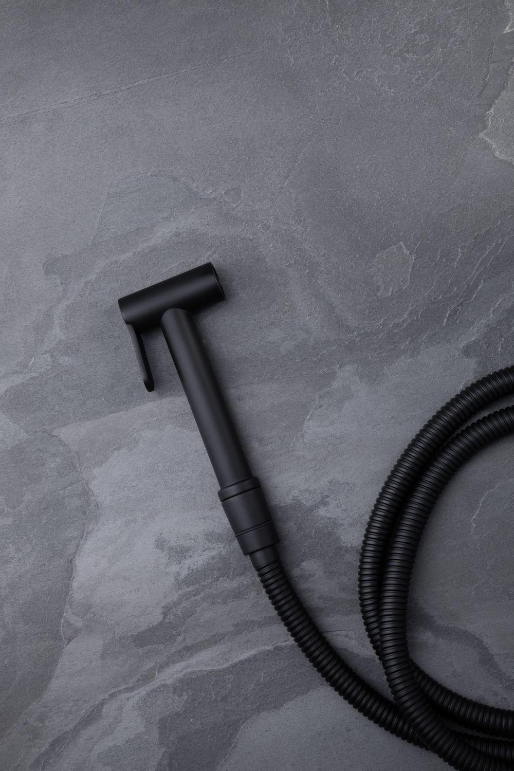 Гигиеническая лейка allen brau priority 5.31028-31 черный матовый