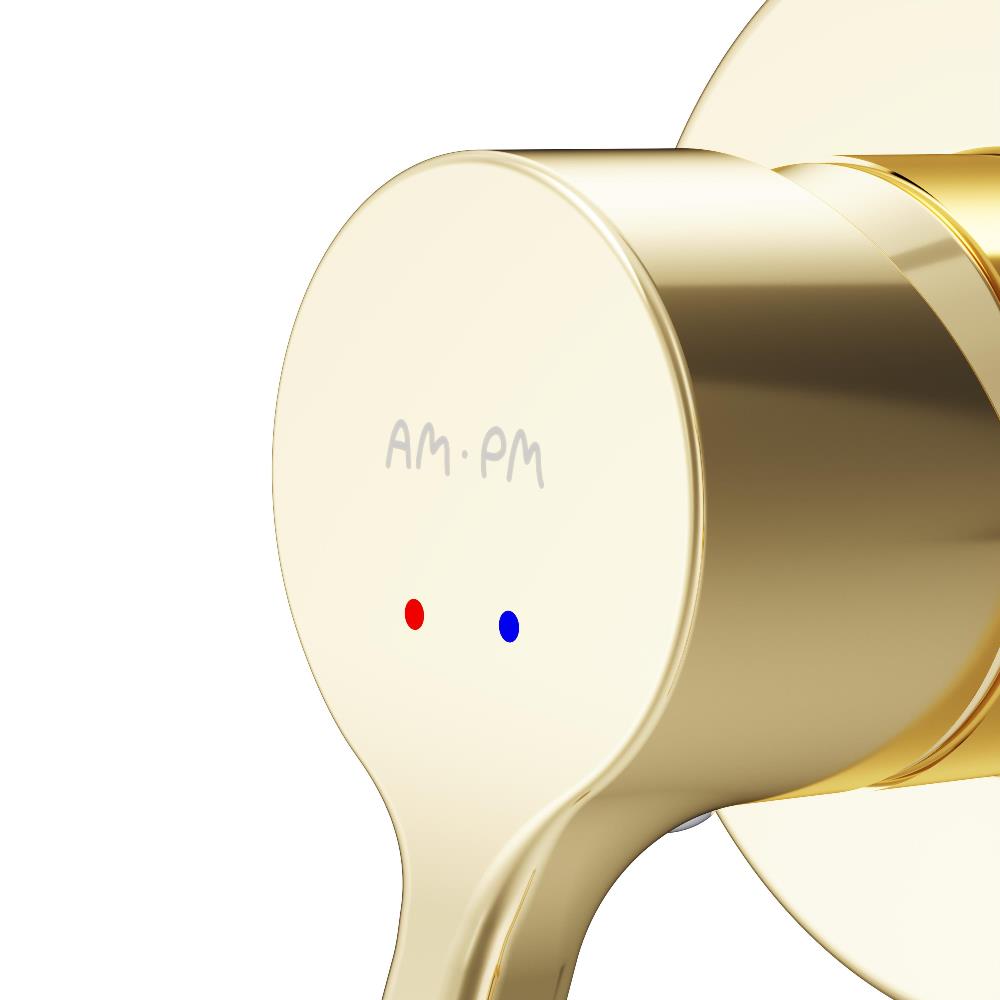 F40H85B99 X-Joy S, гигиенический набор для скрытого монтажа со смесителем для душа, золото