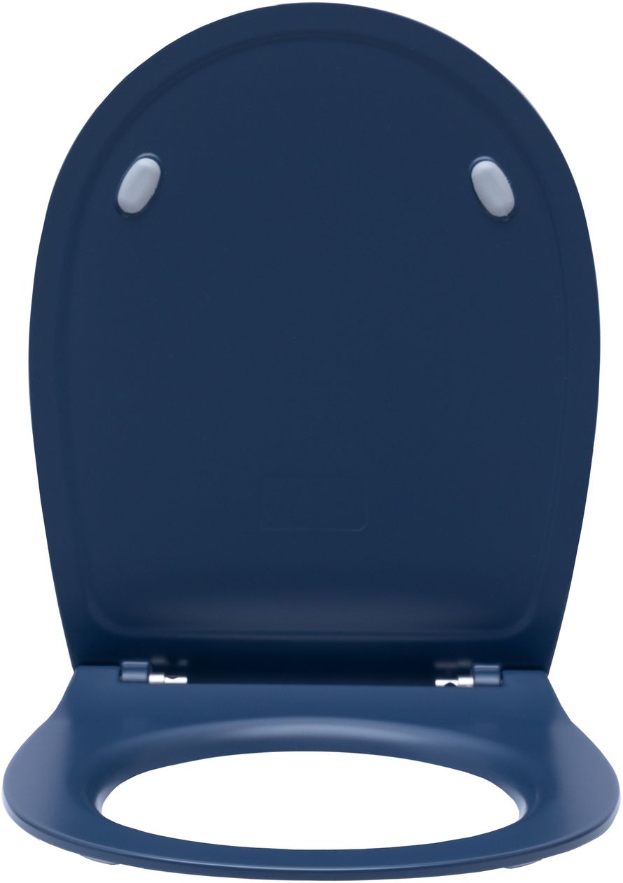 Крышка-сиденье для унитаза allen brau fantasy soft-close 4.11005.id индиго