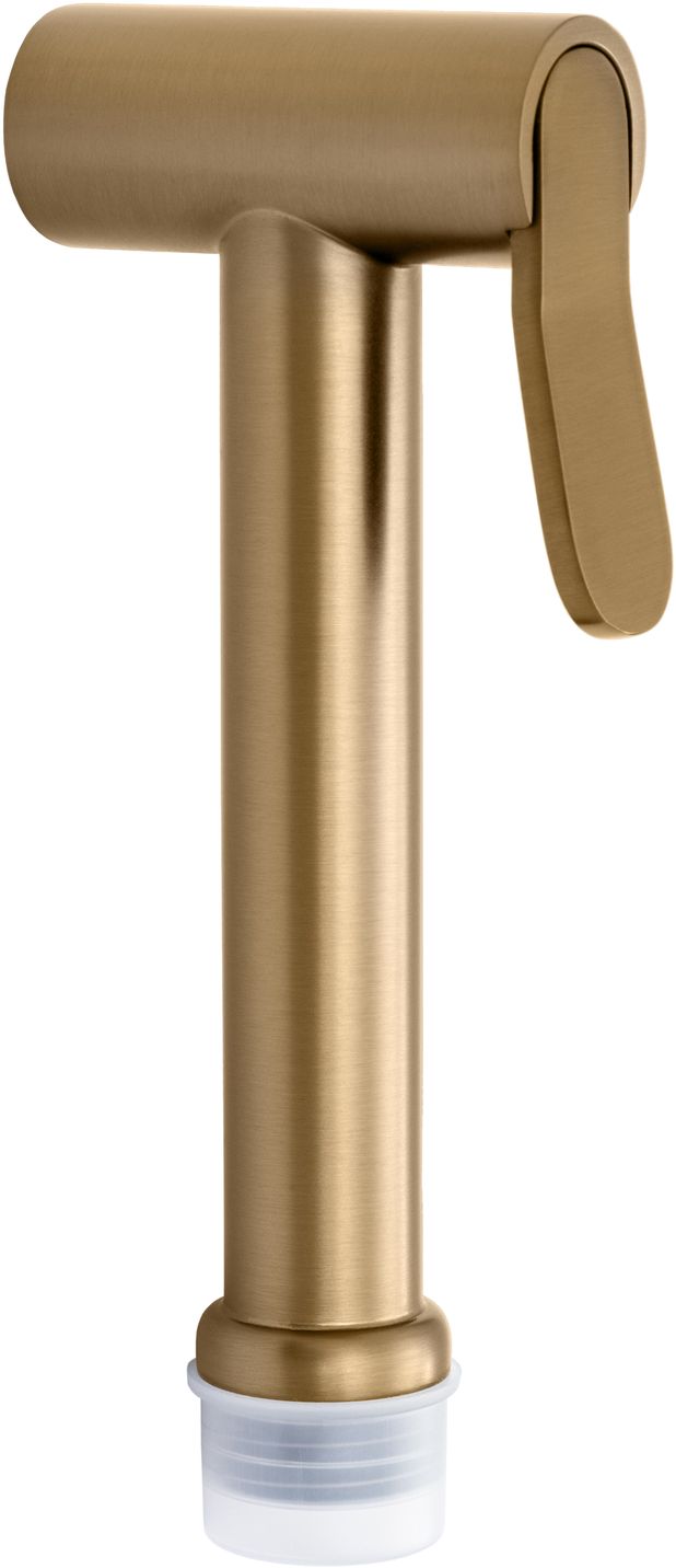 Гигиеническая лейка allen brau priority 5.31028-gb золото