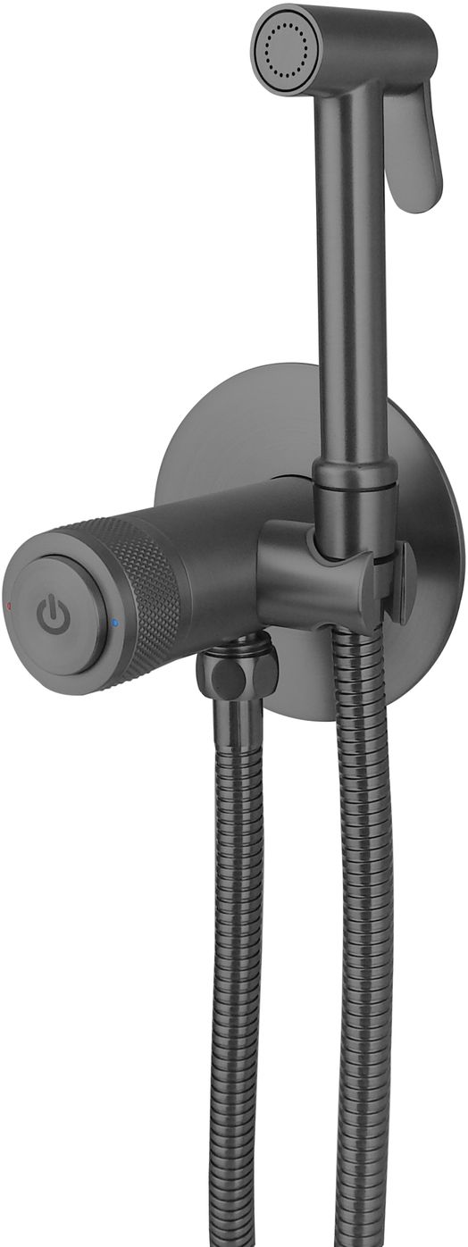 Смеситель с гигиеническим душем allen brau liberty 5.33005-mg (с внутренней частью) графит браш