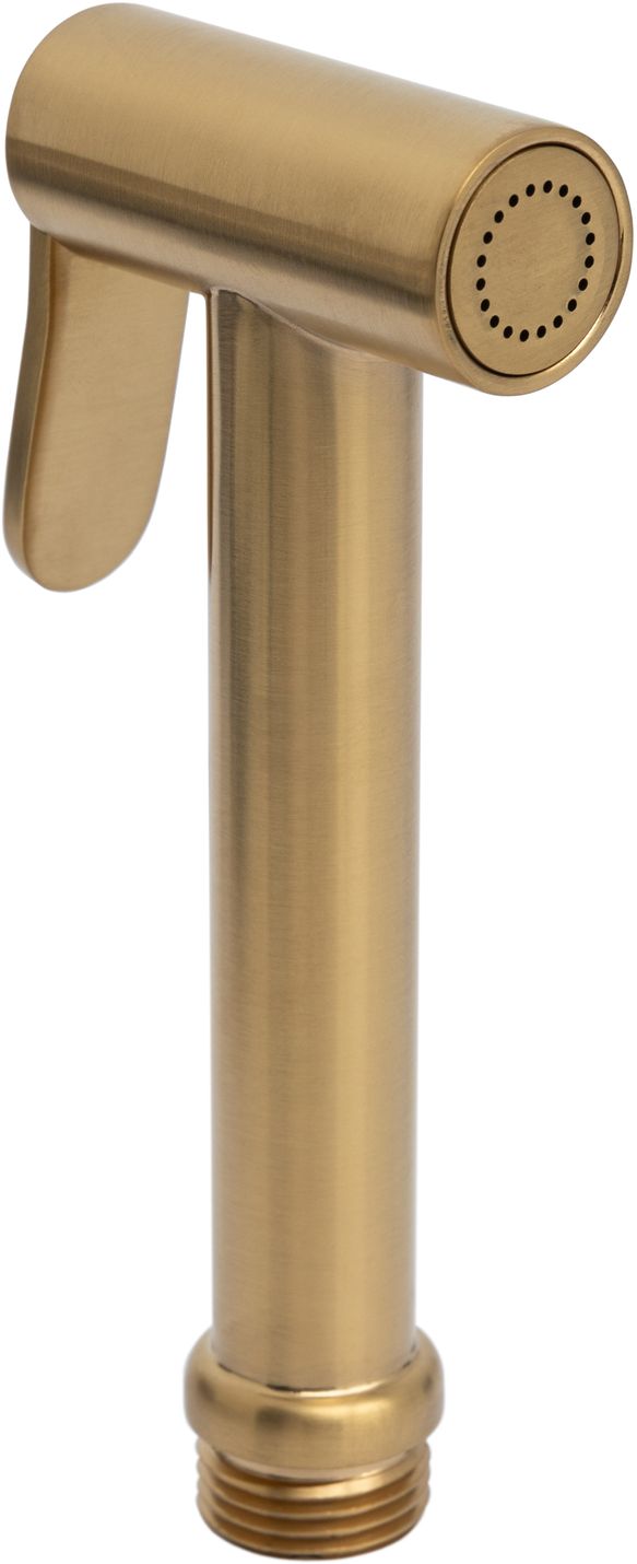 Гигиеническая лейка allen brau priority 5.31028-gb золото