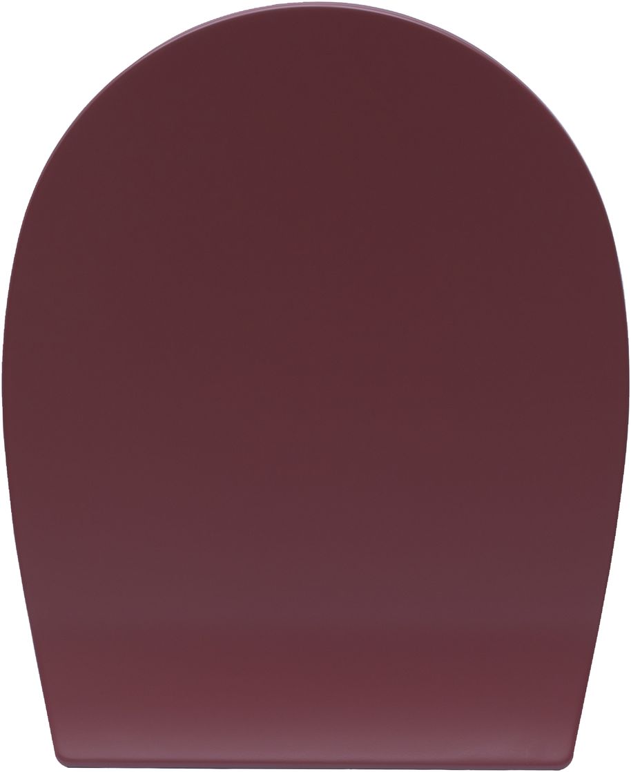Крышка-сиденье для унитаза allen brau fantasy soft-close 4.11005.bd бордо