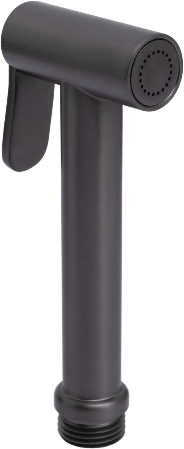 Гигиеническая лейка allen brau priority 5.31028-mg графит браш