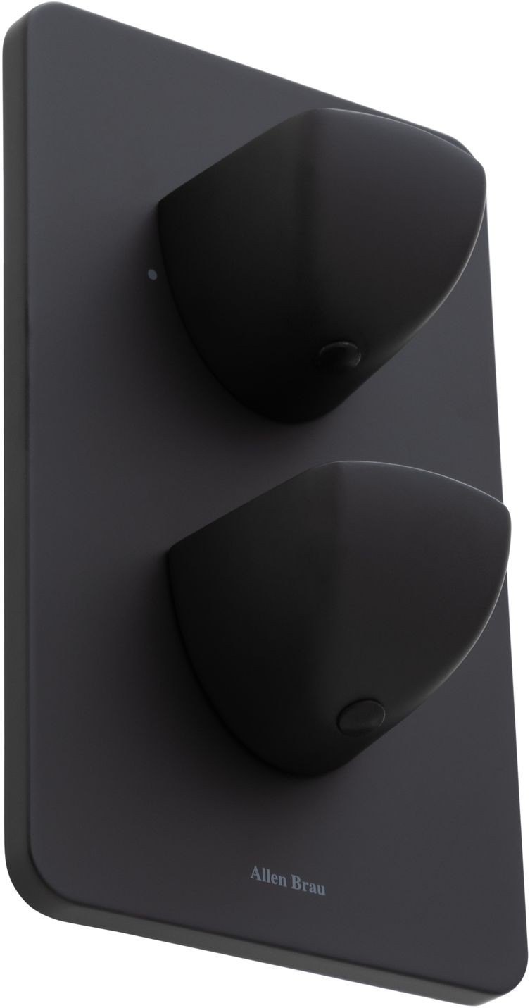 Смеситель для ванны Allen Brau Infinity 5.21216-31 (с внутренней частью, 2 выхода) черный матовый