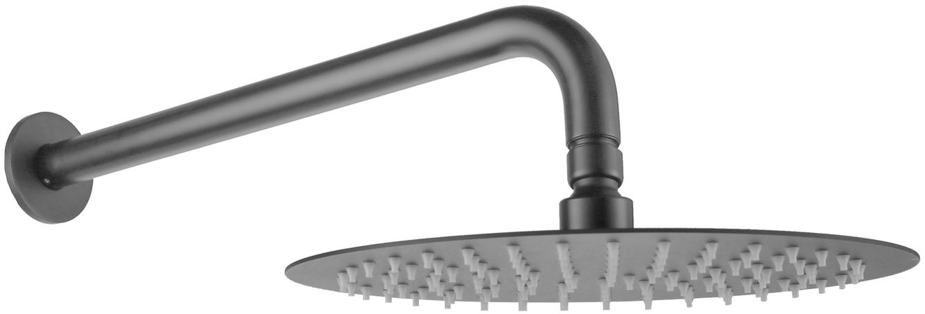 Верхний душ allen brau priority 5.31017-mg графит браш