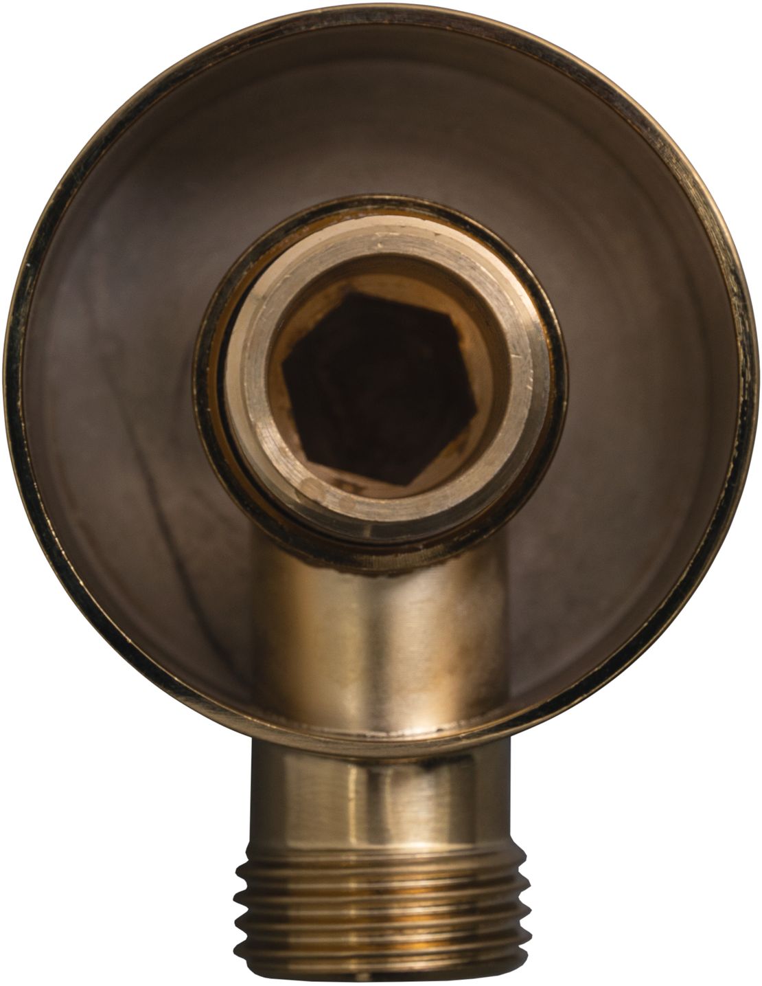 Шланговое подключение allen brau priority 5.31a15-gb золото