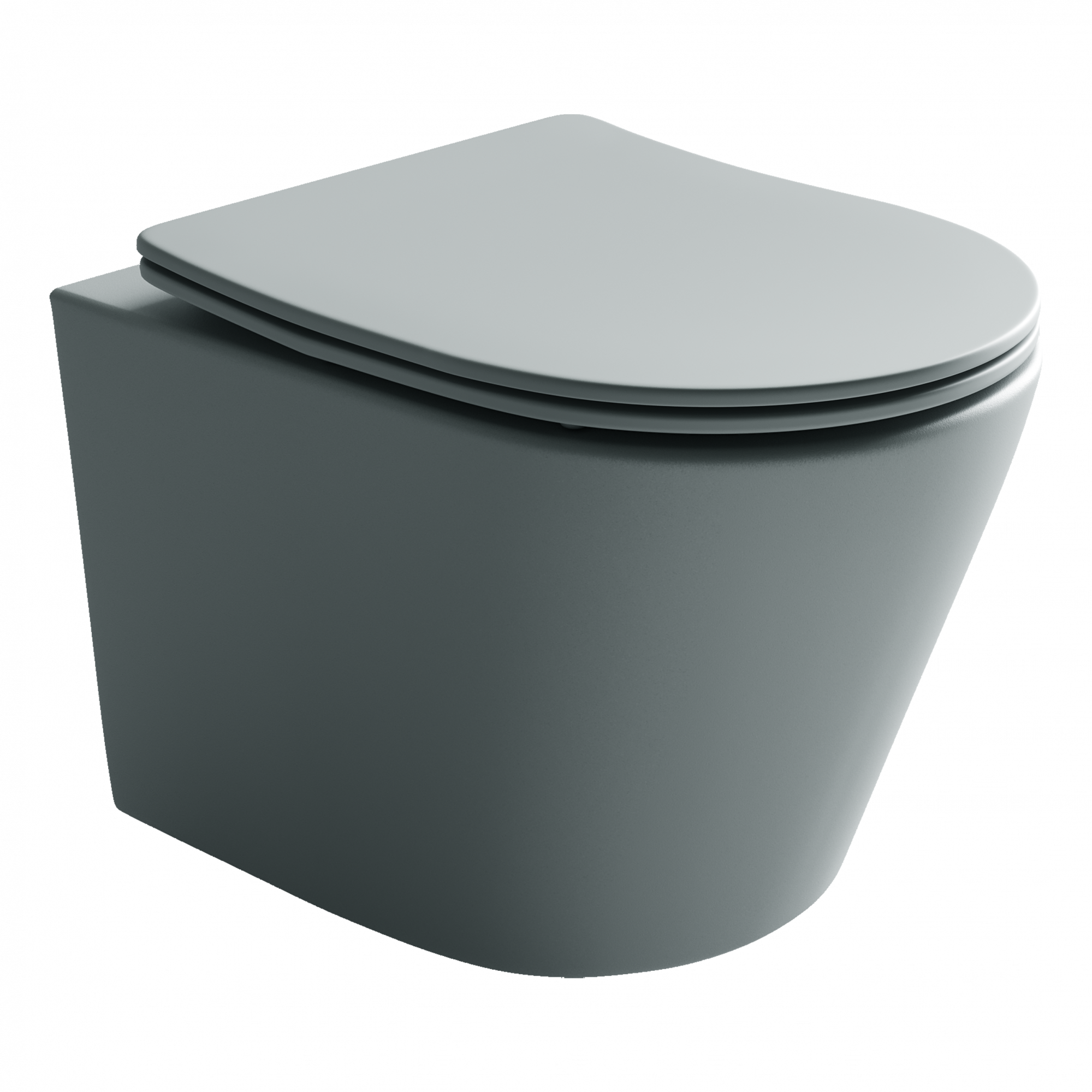 Подвесной унитаз balearica rimless (цвет черный матовый)